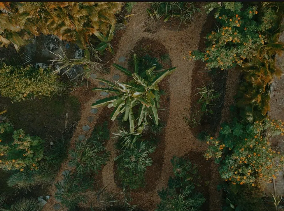 Aerial view of curved planting beds and paths