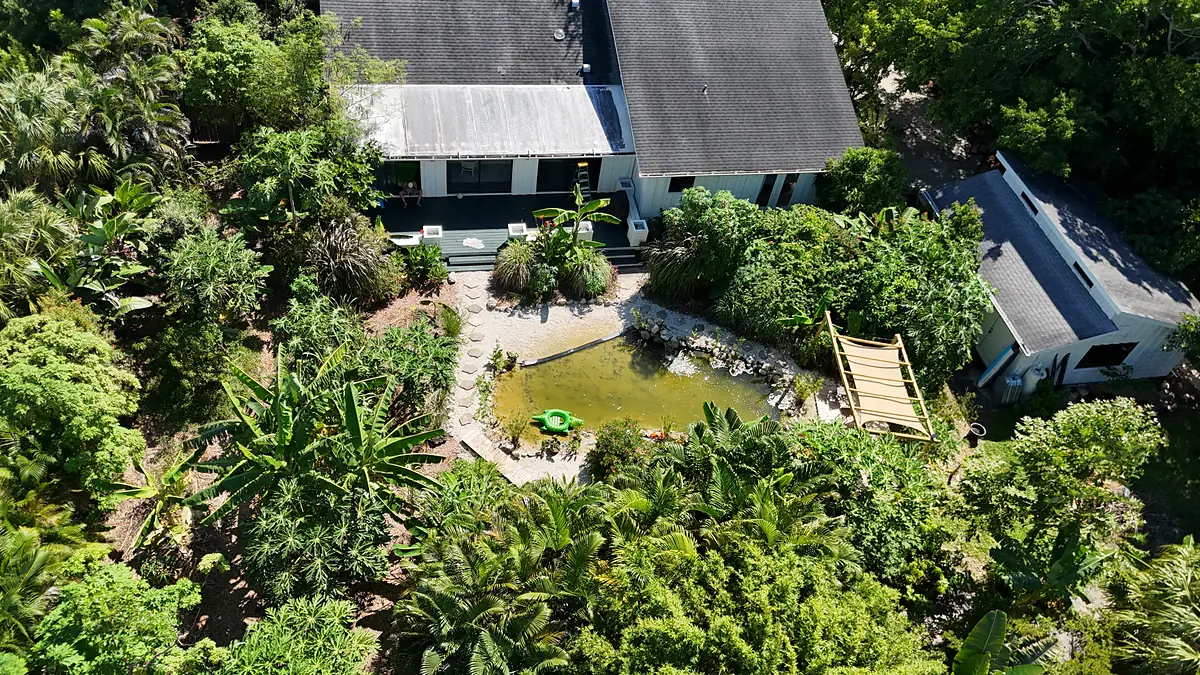 Aerial view of a mature Bradenton, Florida backyard food forest with a lagoon, firepit and shade sail, September 2026
