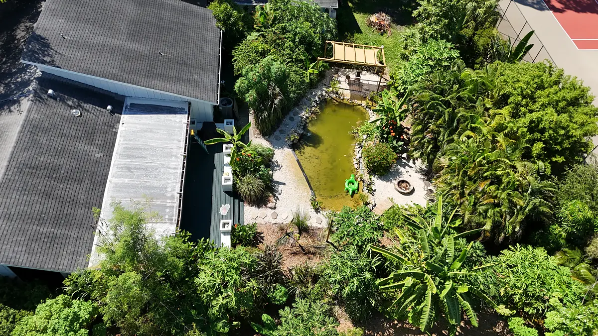 Aerial view of a lush Bradenton food forest wrapped around a lagoon and the house, September 2026
