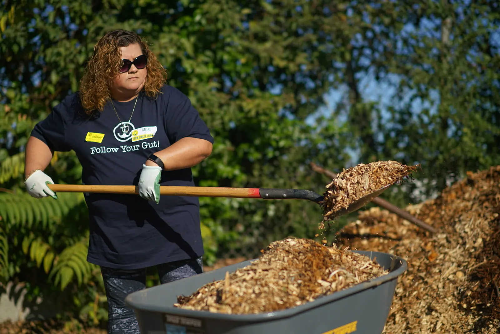 Crew member spreading wood chip mulch from a wheelbarrow on a food forest install