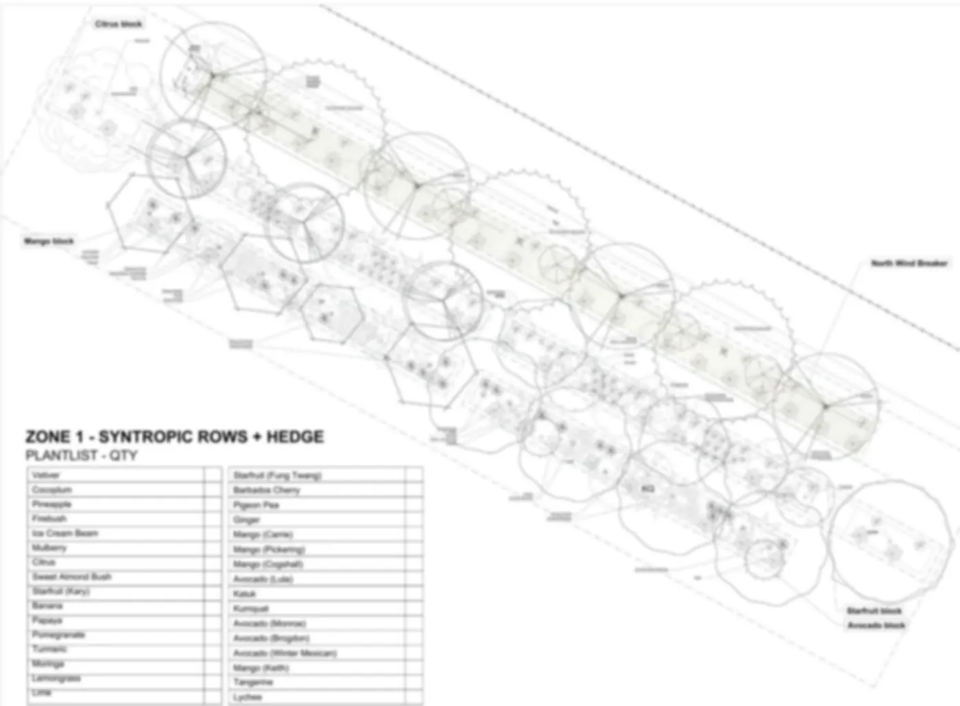 Sample food forest planting plan showing syntropic rows and a windbreak hedge, softened for privacy