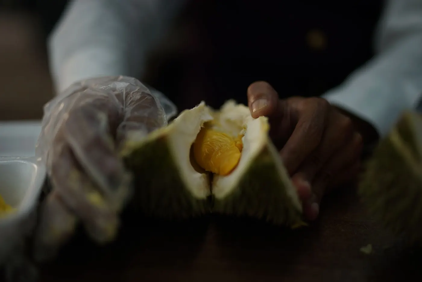 A ripe durian split open on a Searching for Eden expedition