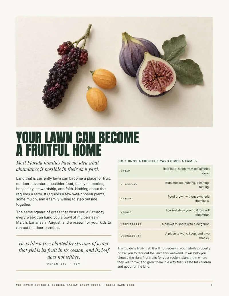 Guide page 4: Your lawn can become a fruitful home, with mulberry, kumquat and fig