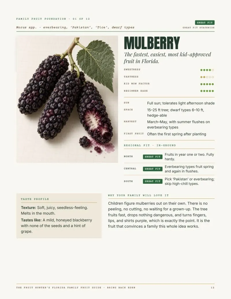Guide page 12: Mulberry profile with ratings and regional fit