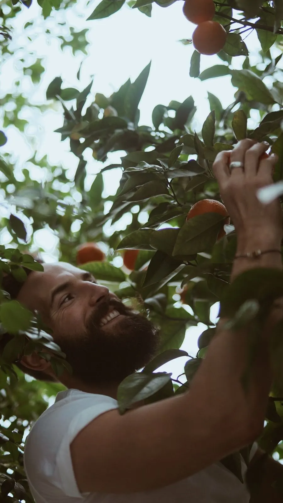 Matthew Nadu smiling as he picks oranges from a citrus tree