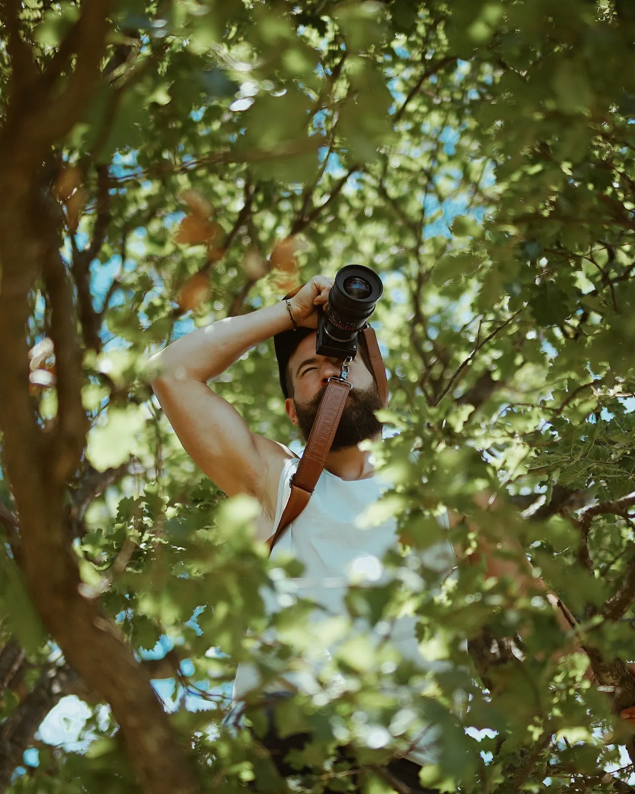 Matthew Nadu climbing into a tree canopy with his camera