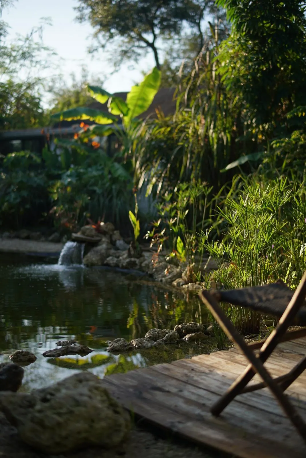 Water-harvesting pond and tropical planting in Bradenton