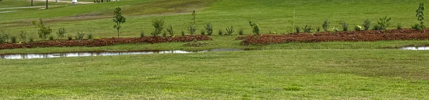 Raised mulched rows above standing water after heavy rain