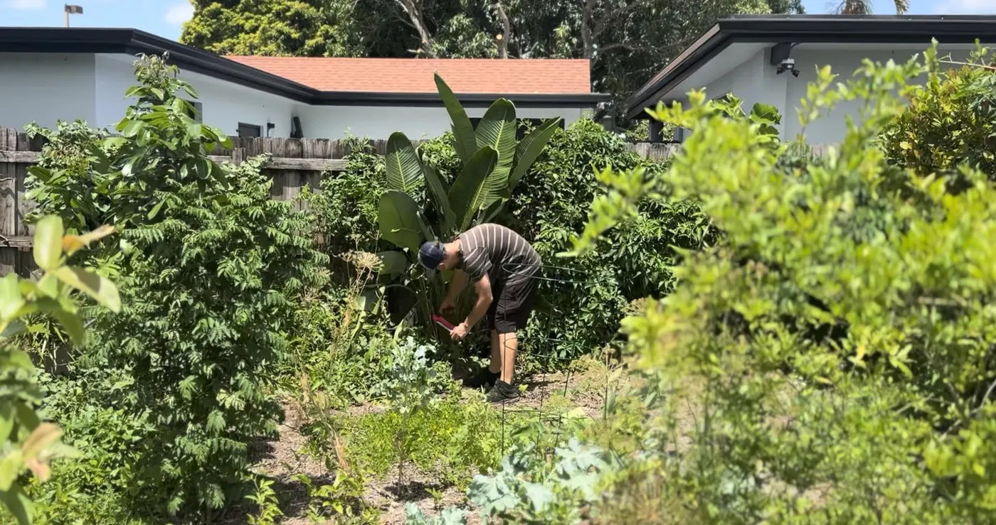 Matthew Nadu tending plants during a stewardship visit